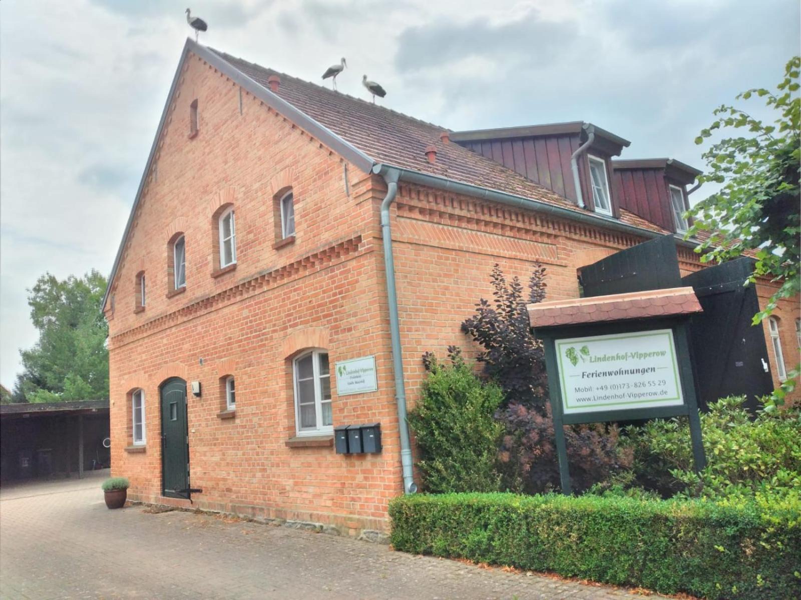 Lindenhof, Wohnung 1, Giebel Vipperow エクステリア 写真